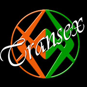 www.transexperugia.it